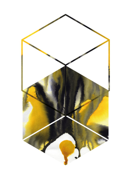 ludivine_platon_terre ludivine_platon_terre