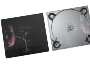 Intrérieur de l'album Amstram de Phanee de Pool: symétrie de portraits photos avec illustration.